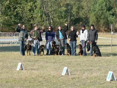 du chemin de Belharra - journée beauceronne de merignac octobre 2010