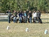  - journée beauceronne de merignac octobre 2010