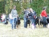  - Journée beauceronne merignac 2011